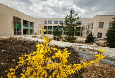 Teren intravilan la 500m de Hub-ul Educational Borhanci-Sopor - 6