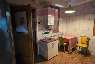 Casa interbelica de vanzare metrou 1 Mai, cu potential - 38