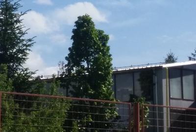 Hala industriala de inchiriat pe Calea Bucuresti folosinta multipla - 12