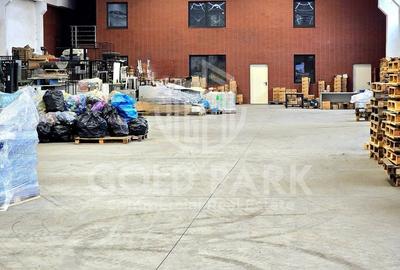 Spațiu industrial, în Iris