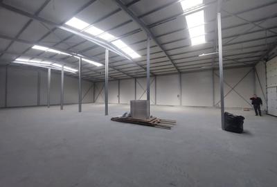Ovidiu, parc industrial, constructie 2025, 120-1160 mp. - 7