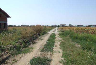 Domnesti-Teghes, teren 9.817 mp strada Pinului - 8
