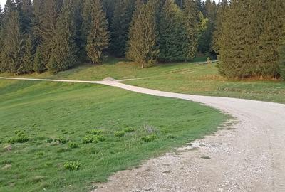 Se vinde teren 900 mp/25 ml toate utilitatile, Predeal laga Cabana Trei Brazi - 10