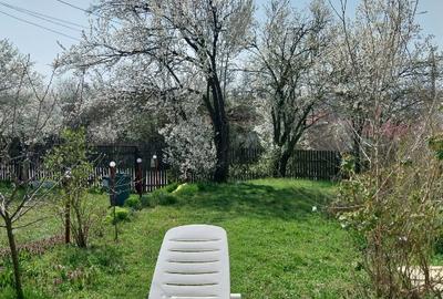 Casa cartojani giurgiu gaze apa centrala, direct proprietar - 11