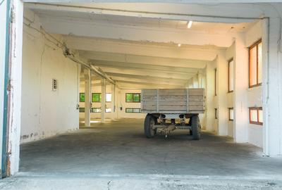Hală industrială cu multiple destinații în Nădlac - 38