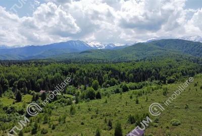Teren intravilan de vanzare in Avrig zona Valea Avrigului - 6