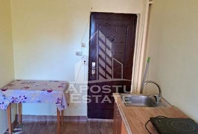 Garsoniera de vanzare in zona Dambovita, la etajul intai, Timisoara - 3