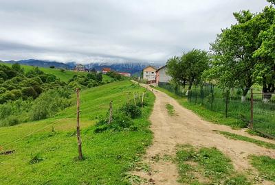 Teren pentru casa de vacanta , Pestera , Brasov - 4