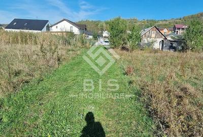 Teren Intravilan  Unirea 1700mp - 11