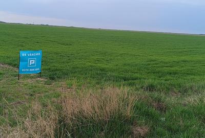Teren extravilan 5 hectare ( zonă industrială ) Șag - 14