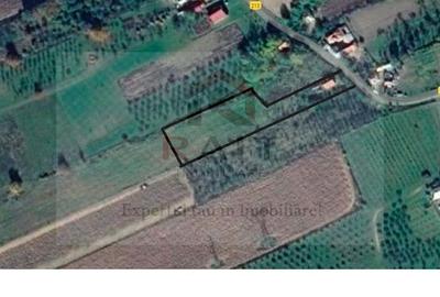Casa de Vanzare Baiculesti Arges - 8