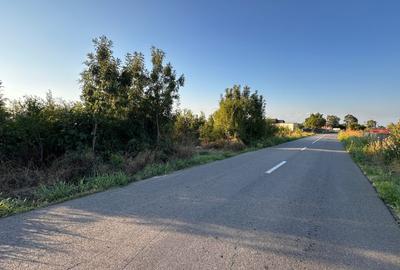 Teren 6700 mp Olteni, jud. Dâmbovița – la doar 900 m de Autostrada A1 (km 63) - 2
