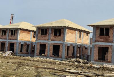 Vile individuale padurea Rosu - 1