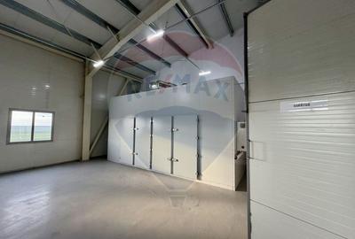 Teren agricol 13,1 ha + Hală 700 mp + Utilaje Agricole - Piscu, Galati - 10