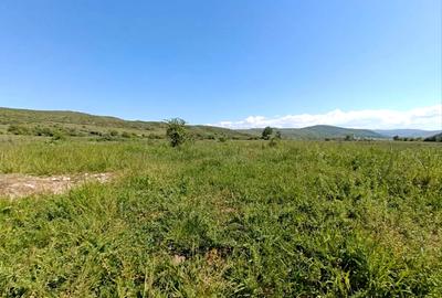 Teren intravilan 453 mp | Cartier nou | Zonă liniștită Sebeș - 2