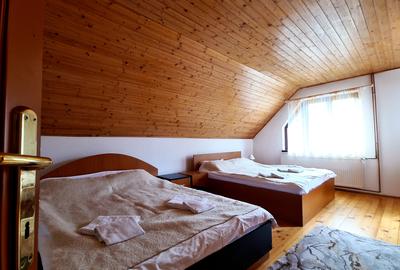 CASA VILA DE VIS PE VALEA DOBARLAULUI - JUD. COVASNA - 11
