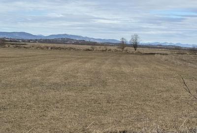 Teren extravilan | Rădăuți – zona Jalcău | 3.900 mp | 41 m front - 1