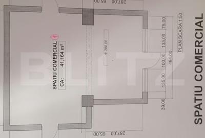Spațiu comercial, 60 mp, zona Nicolina 2 - 11