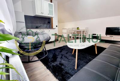 Apartament cu 2 camere semidecomandat, mobilat în Turnișor