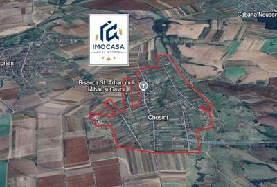 Vanzare Teren Extrav. Arabil, Pășune Chesint, Zabrani 1ha - 48.86ha - 1