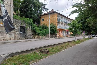 Baile Herculane, De Vanzare Vila Miramonte, 3204 Mp. Teren Intravilan, In Centru - 13