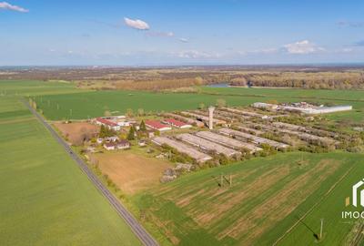 De vanzare Complex Zootehnic Suine Jud. Arad SU 15.30ha, Ferma, Grajd - 9