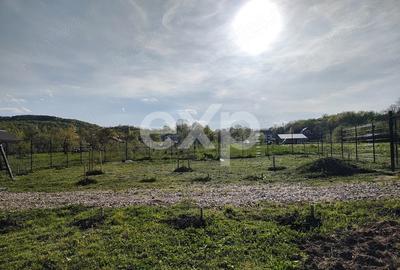 Teren intravilan de vânzare – Valea lui Enache, Baiculești, Argeș | 500 mp - 4