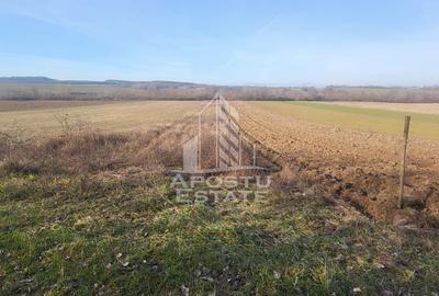 Teren agricol extravilan de 5000 mp, în Bârsa