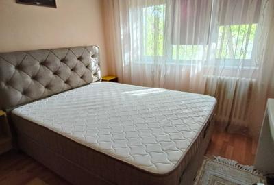 De inchiriat Apartament 2 camere Berceni Huedin - 2