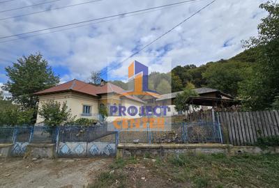 Casa si teren 5.000 mp, Stroesti - 1