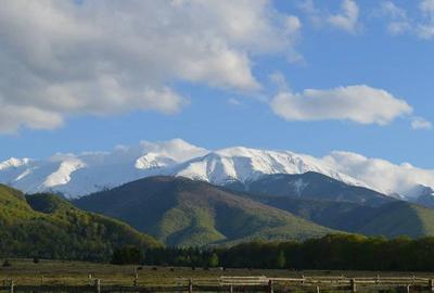 Teren intravilan 2500mp  pe Valea Avrigului,optim casa de vacanta - 10
