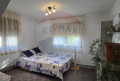Casa cu mansarda in MIȘCA  jud Arad - 29