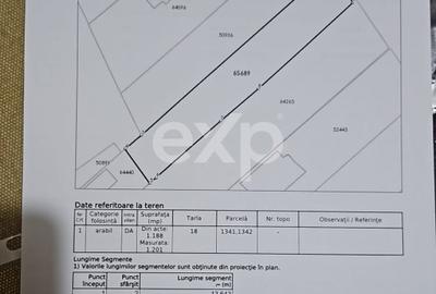 Teren Intravilan Constructii Buftea Central - 2