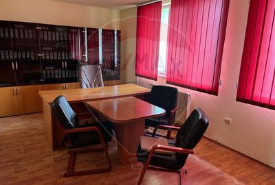 Spațiu industrial în Deva - Platformă betonată, 2 hale , linie CFR - 13