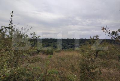 Teren 6291 mp, extravilan, zona Leamna de jos - 1