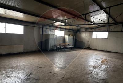 Spațiu industrial în Deva - Platformă betonată, 2 hale , linie CFR - 4