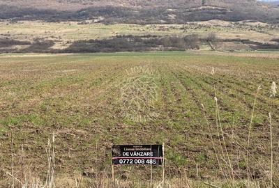 Teren Intravilan-3750mp- zona in plina dezvoltare-Podirei - 4