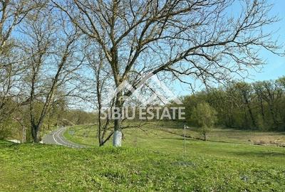 Vila cu Deschidere de 21m – Calea Poplăcii (Langa Parc) 950mp teren - 23