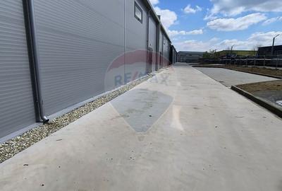 Spațiu industrial 595 Mp Soseaua de Centura Chitila - 1