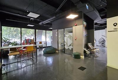 Pater cladire de birouri - Gradina Icoanei - 3