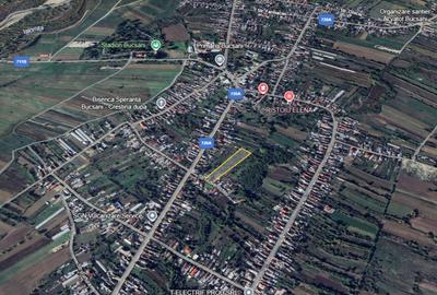 De vanzare | Teren 7566 mp | Bucsani | Dambovita - 4