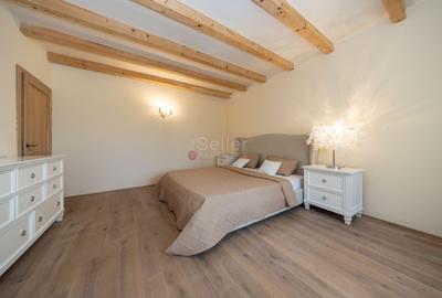 PROPRIETATE CU LIVADA MATURA DE NUCI SI POTENTIAL INVESTITIONAL - 8