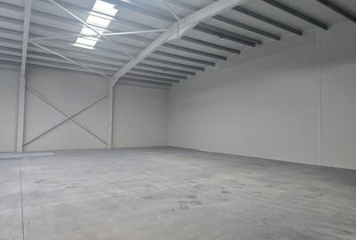 Inchiriere hala/birouri, TBM Industrial Park 600 MPU si teren 1016mp - 6