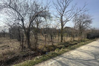 Parcele de 400 mp intravilan str. Olteni, Mosoaia, Arges - 2