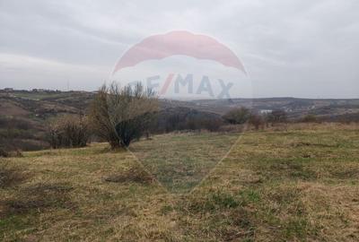 De vânzare teren intravilan, 1.505 mp - Paleu - 4