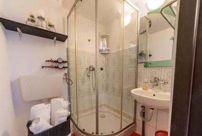 Gara de Nord | Garsoniera | Proximitate Piata Victoriei | Pet friendly - 6