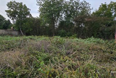 Teren cu suprafata de 1500mp mai sus de Casa Lux - 3