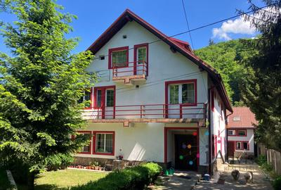 Vanzare Casa Timisul de Jos - 3