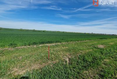 Teren extravilan de 9500 mp de vanzare in Remetea Mare - 1
