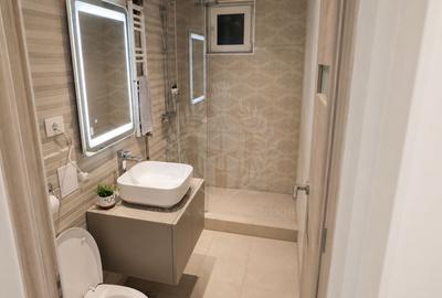 Inchiriere apartament 2 camere, zona Malu Rosu, Ploiesti - 7